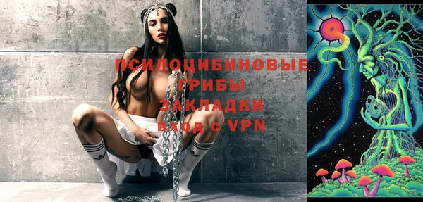 марки lsd Каменка