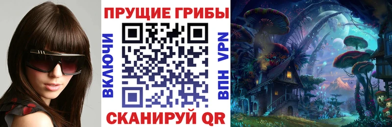 где продают наркотики  KRAKEN зеркало  Галлюциногенные грибы мухоморы  Пошехонье 